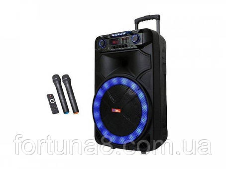 Професійна акумуляторна акустична система Sky Sound, фото 1