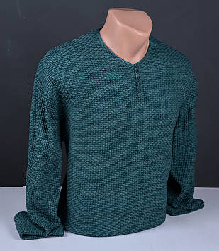 Чоловічий тонкий пуловер | Чоловічий светр Vip Stendo зелений Туреччина 3079