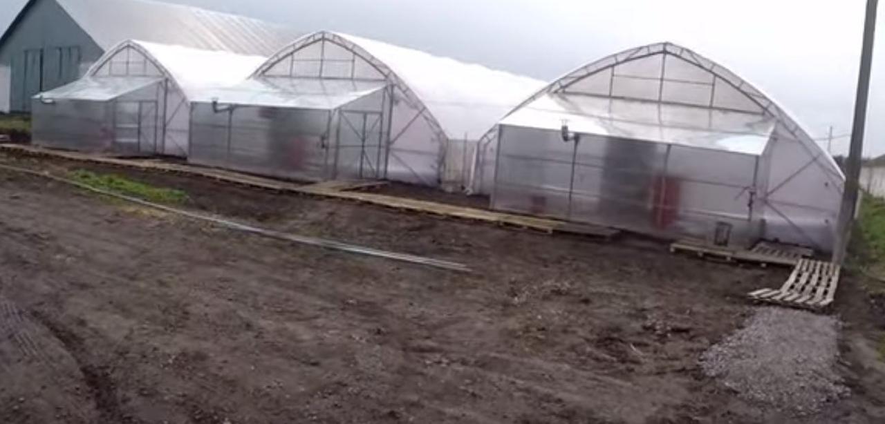 Тамбур 3х6 під полікарбонат для фермерської теплиці 10