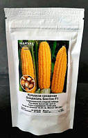 Семена кукурузы сахарная бондюэль Бостон F1 (Украина), 100 гр