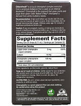 Хлорофіл рідкий Nature's Way Chlorofresh Chlorophyll Drops 59 ml mint, фото 6