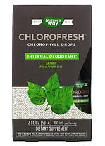 Хлорофіл рідкий Nature's Way Chlorofresh Chlorophyll Drops 59 ml mint, фото 5