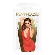 Мінісукня Penthouse — Heart Rob Red S/M (м'ята упаковка!!!, фото 4