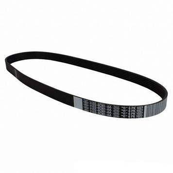 Ремінь генератора Ford Escape 1.5 2017-2019; Motorcraft JK6-441