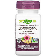 Ехінацея з астрагалом і грибами рейші Nature's Way "Echinacea Astragalus & Reishi" 1200 мг (100 капсул)