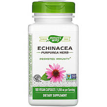 Ехінацея Nature's Way "Echinacea Purpurea Herb" 1200 мг (180 капсул)