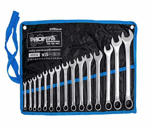 Набір комбінованих ключів на полотні 15 од. Profline, фото 1
