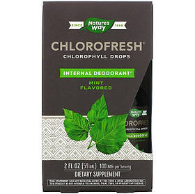 Концентрований хлорофіл Nature's Way "Chlorofresh Chlorophyll Drops" зі смаком м'яти, 100 мг (59 мл)