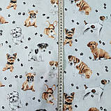 Бязь бавовна із собачками на сірому фоні, ш.160 см, фото 3