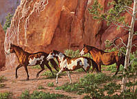 Пазл Cabble Hill - Коні в канйоні (Horse Canyon), 1000ел
