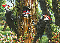 Пазл Cabble Hill - Дятли (Pileated Woodpeckers), 1000 ел