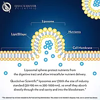 Liposomal Glutathione Quicksilver Scientific 50 мл., фото 6