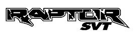 Вінілові наклейки на авто " Raptor " 20х120 см 2 шт