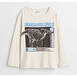 Кофта лонгслів реглан Динозавр H&M на хлопчика 2-4 роки - р.98/104 /63512/, фото 2