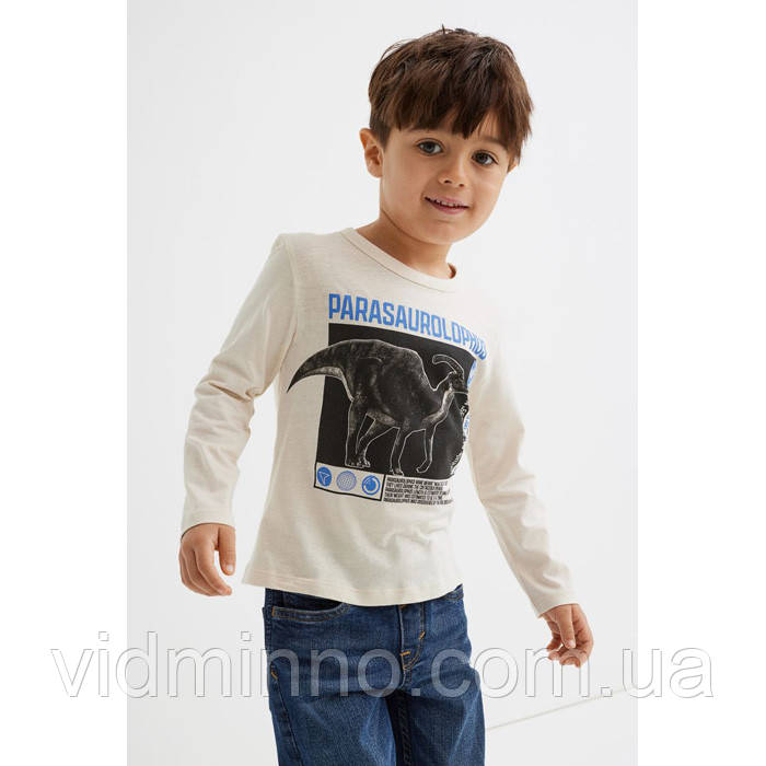 Кофта лонгслів реглан Динозавр H&M на хлопчика 2-4 роки - р.98/104 /63512/, фото 1