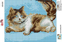 Алмазная вышивка "Кошка отдыхает " котенок, пушистый небо полная выкладка мозаика 5d наборы 23x30 см
