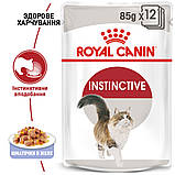 Корм вологий Royal Canin для дорослих котів желе Instinctive Jelly 85 g (12шт/уп), фото 7