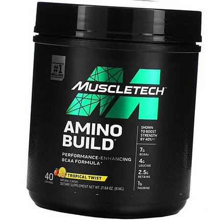 Кращі комплексні амінокислоти в порошку MuscleTech Amino Build 614 g, фото 1