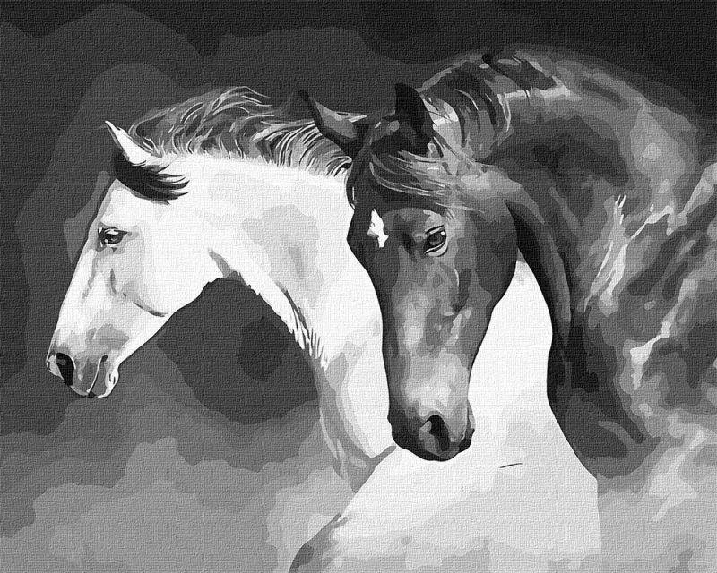 Картина за номерами 40х50 см. Чорно-біла сила Ідейка КНО4276