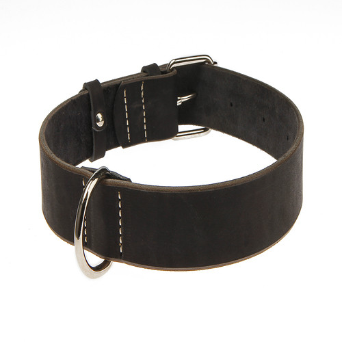 Нашийник 4355 30мм "класика преміум" шкіра синій, фото 1