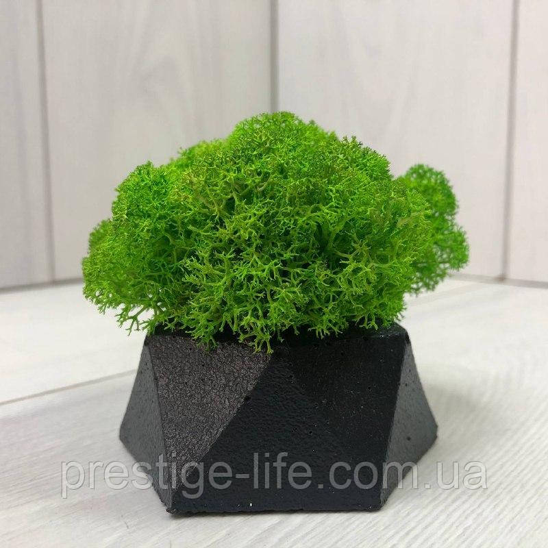 Кашпо зі стабілізованим мохом M@M Еко Декор Чорний. (011mm g), фото 1