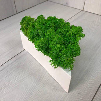 Кашпо зі стабілізованим мохом 1 шт. M@M Еко Декор Білий (014mw)