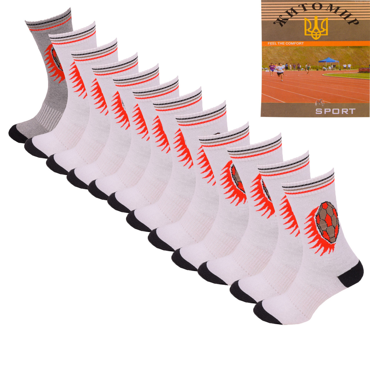 Шкарпетки чоловічі Sport Fan R-01-003. В упаковці 12 пар. Розмір 41-45