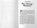 Історія семи Дверей. Фентезі. Яна Летт, фото 2