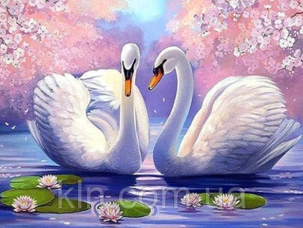 Алмазна вишивка на підрамнику ніжність Лебедина 30 х 40 см (арт. TN1089), фото 1