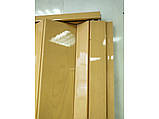 Двері гармошка метрова, нестандартний розмір. Дуб світлий 100х203. Міжкімнатні двері гармошка розмір 90,100см, фото 3