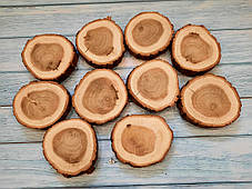 Набір зрізів дерева шліфованих для створення панно,картин (d10см) 10 шт. дуб, фото 2