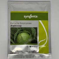 Семена капусты Агрессор F1 фракция 2.0-2.25 мм (Syngenta), 2500 семян средне-поздняя, пластичная