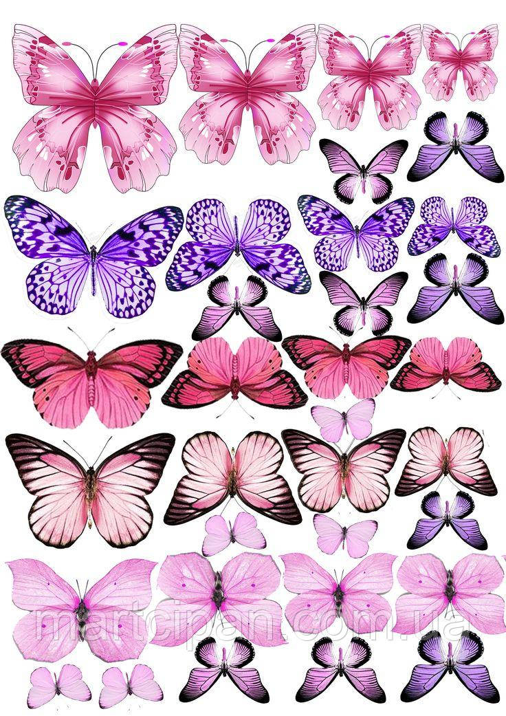 Метелики 11 асорті Вафельна картинка, фото 1