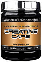 Креатин Scitec Nutrition - Creatine Caps (250 капсул)