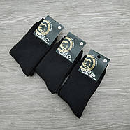 Шкарпетки чоловічі високі весна/осінь чорні р.39-42 Житомир LYKRA 30034197, фото 2