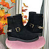 Замшеві черевики чорні жіночі, декоровані ланцюгом і ремінцем, фото 2