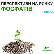 Перспективи на ринку Фосфатів, 2022 рік