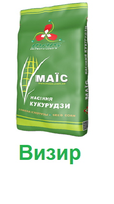 Насіння кукурудзи Візир (ФАО 350) "Компанія МАЇС" (Дніпро)