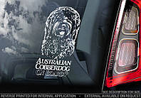 Австралийский Лабрадудель (Коббердог) Australian Cobberdog стикер