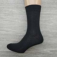 Шкарпетки чоловічі високі весна/осінь чорні р.39-42 Житомир LYKRA 30034197, фото 6