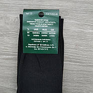Шкарпетки чоловічі високі весна/осінь чорні р.39-42 Житомир LYKRA 30034197, фото 7