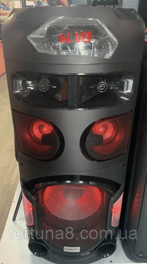 Портативна колонка  ProAudio SN28