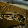 Намет короповий Ranger EXP 2-mann Bivvy RA-6612 + зимове покриття, фото 10