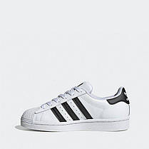 Кросівки Adidas Superstar White - C77154, фото 2