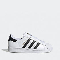 Кросівки Adidas Superstar White - C77154, фото 4