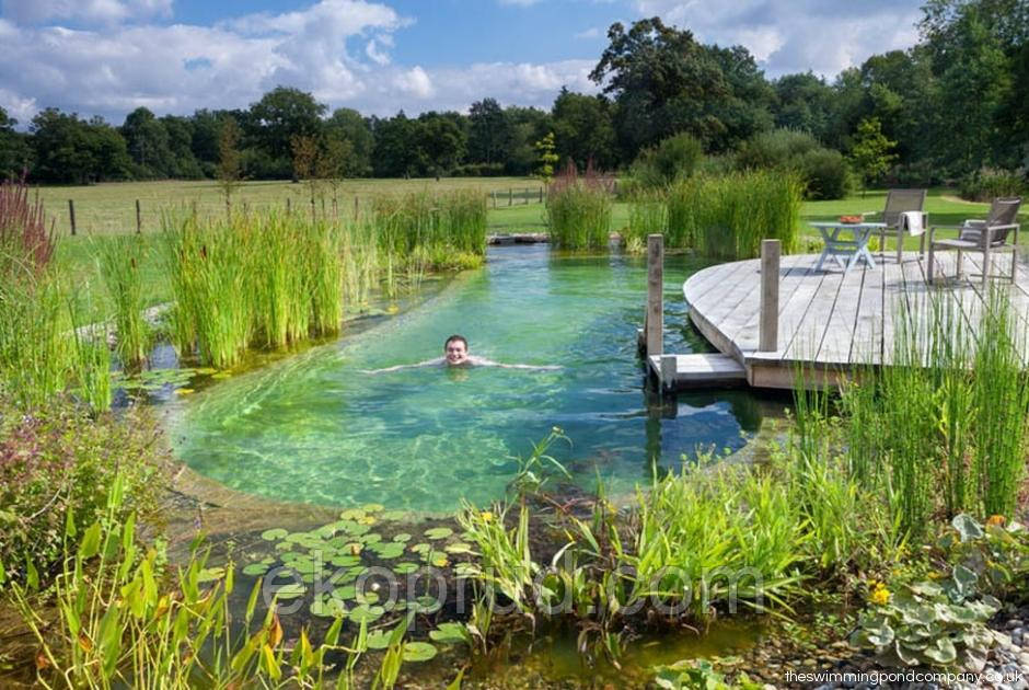 Декоративні водойми будь-яких розмірів із чистою прозорою водою