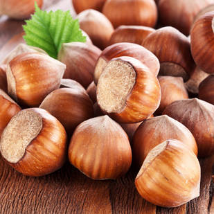 Саджанці Фундука (ліщини) Енніс - середній, високоврожайний, зимостійкий