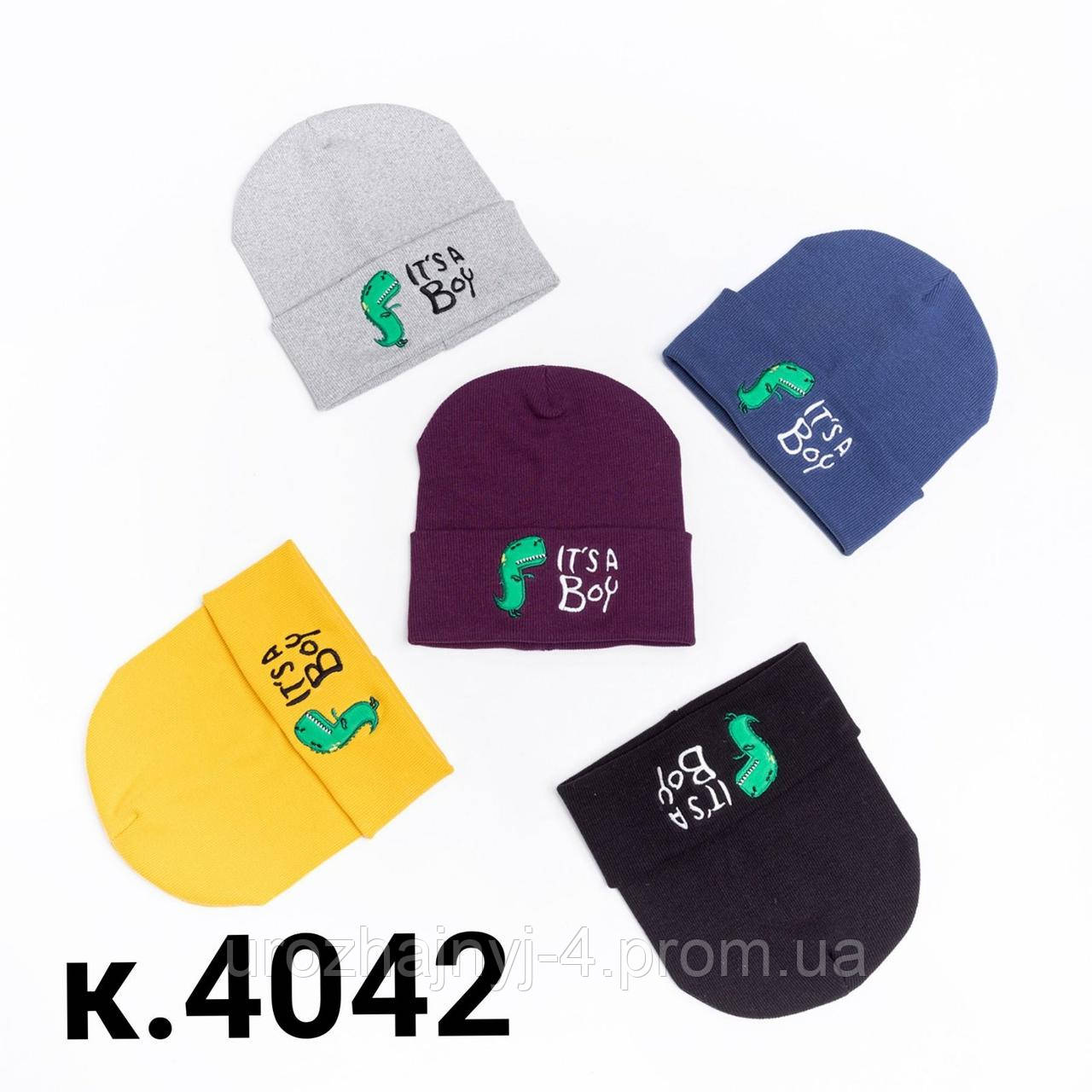 Шапка трикотажна подвійна з вишивкою "ДИНОЗАВР" 52-54р код 4042 Glory-kids