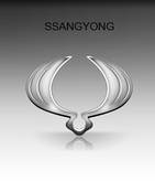 Штатная камера SSANG YONG