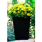 Горщик для квітів Keter Medium Rattan Planter коричневий (7290103659271)